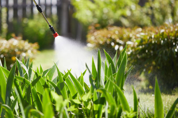 24/7 Emergency Cockroach Control experts in Hays, KS