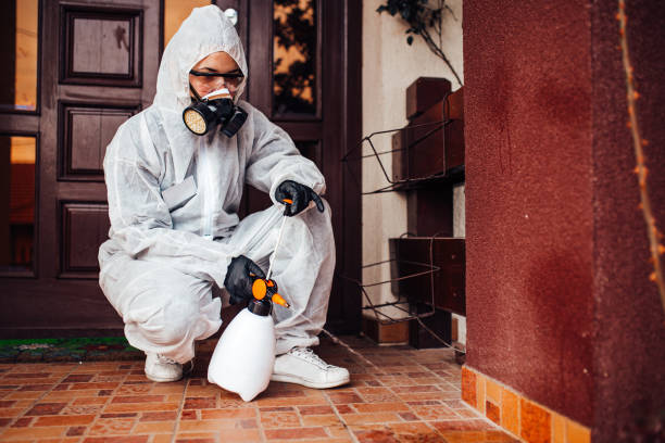 Reliable Cockroach Control contractor in Hays, KS by Nex Pest Control